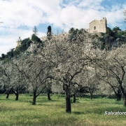 Colleggio Sacro Cuore di Gesù - Ispica